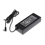 YONGNUO Adaptador AC Padrão Americano 19V 5A Para Yongnuo LED Luz De Vídeo YN900 YN 900