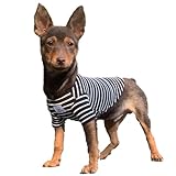 YQYS Camisetas Para Cães De Estimação Camiseta Listrada Grossa De Algodão Para Cães E Gatos Pequenos Roupas Para Cachorros Roupas Para Cães Xícara De Chá Roupas Para Cães Chihuahua Yorkie Poodle