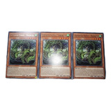 pt015