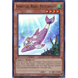Yu gi oh Spiritual