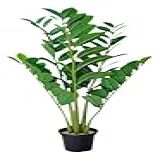 Zamioculca Planta Artificial Verde Decoração Realista C-vaso
