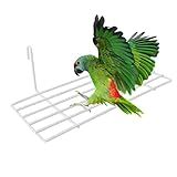 Zerodeko 1 Unidade Grade De Parede De Arame Prateleira De Parede De Ferro Prateleira De Armação De Grade De Ferro Prateleira De Gaiola Poleiros Pombos Suprimentos Para Pássaros Metal Branco