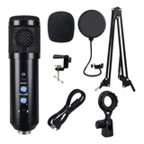 Zh Sroje Microfone Condensador