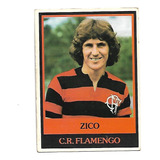 Zico Futebol Cards Ping