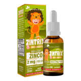 Zintrix Zinco Infantil Em