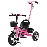 Zippy Toys Triciclo Infantil Com Apoiador