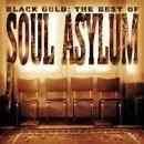 Músicas de Soul Asylum