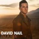Músicas de David Nail