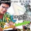 Músicas de Mc Marcelo Gaúcho